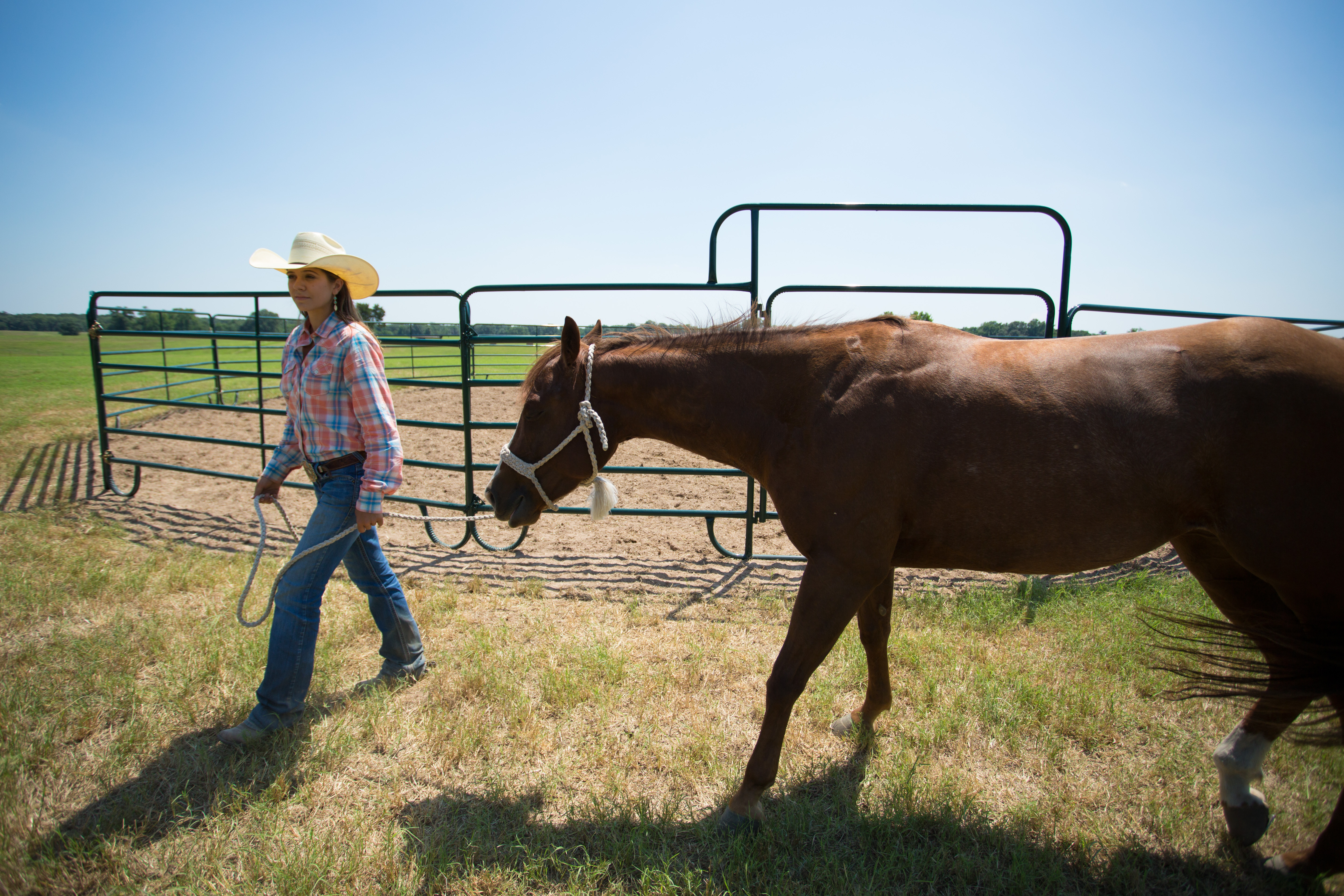 Economy Round Pen RP50 16.jpg